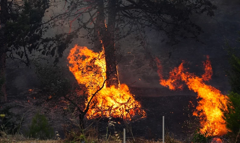 İzmir'in Selçuk ilçesinde orman yangını! Evler ve oteller boşaltıldı, Selçuk-Kuşadası kara yolu araç trafiğine kapatıldı
